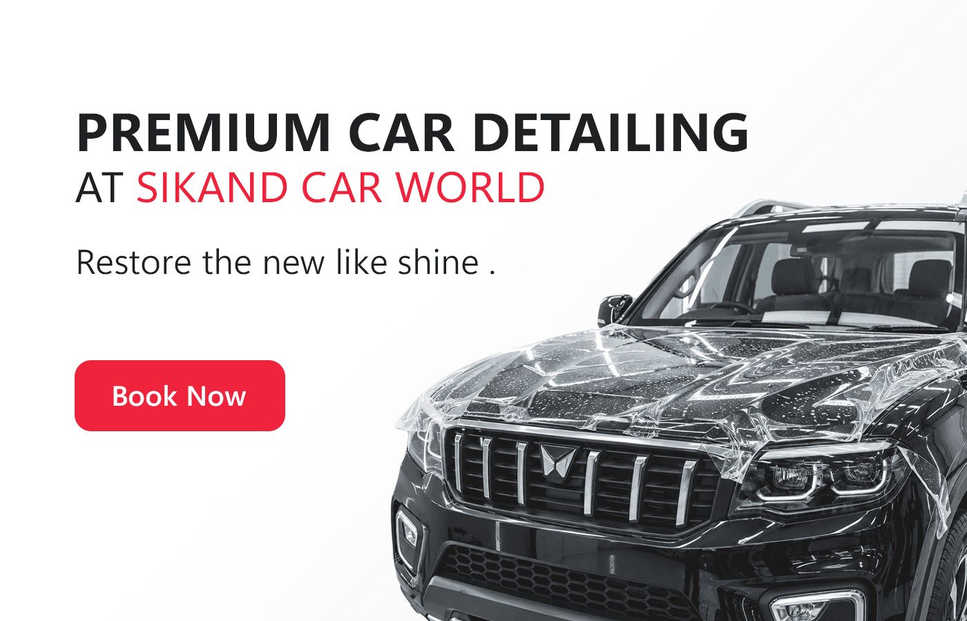 Professional Detailing Services